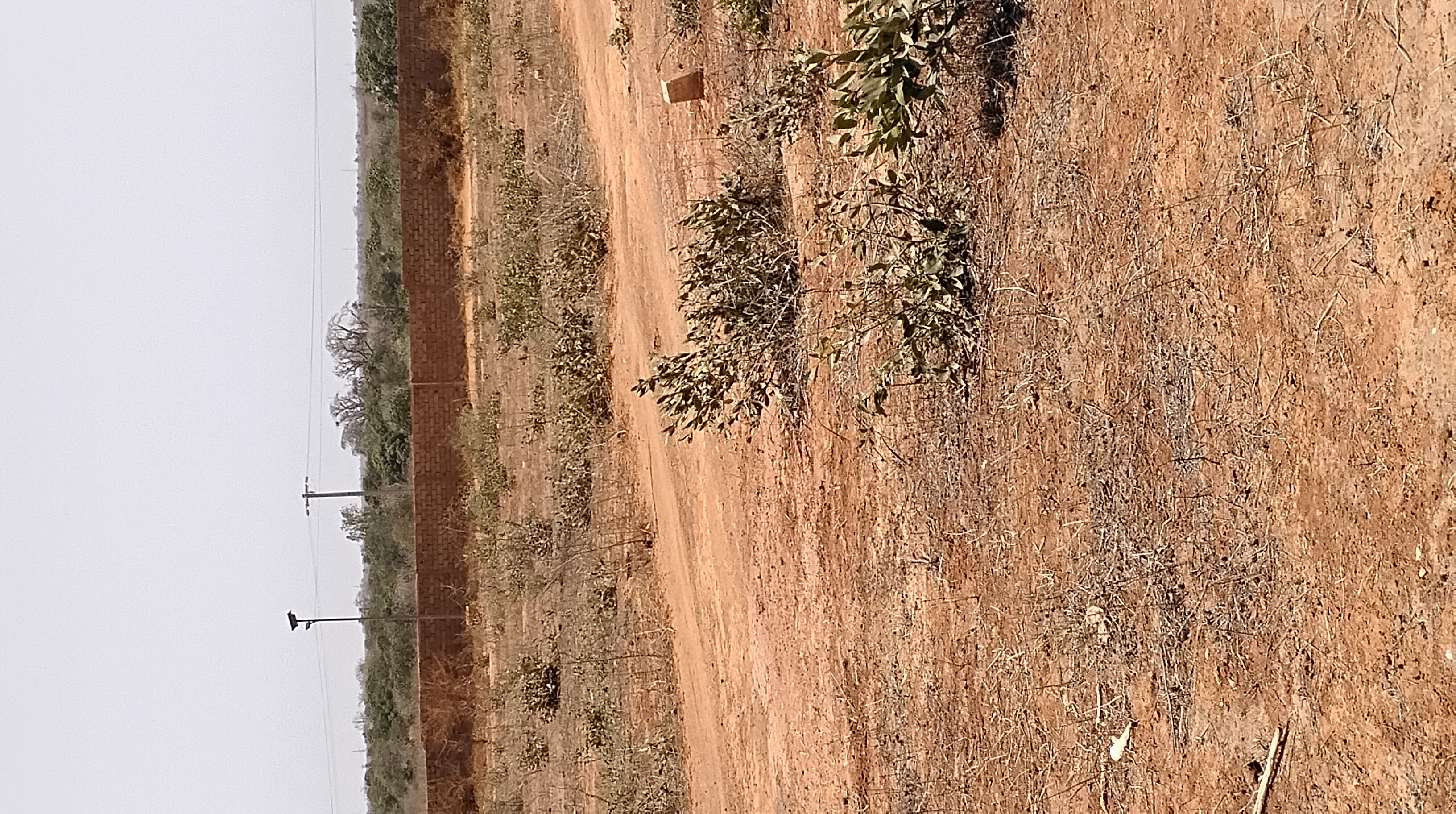 Terrain